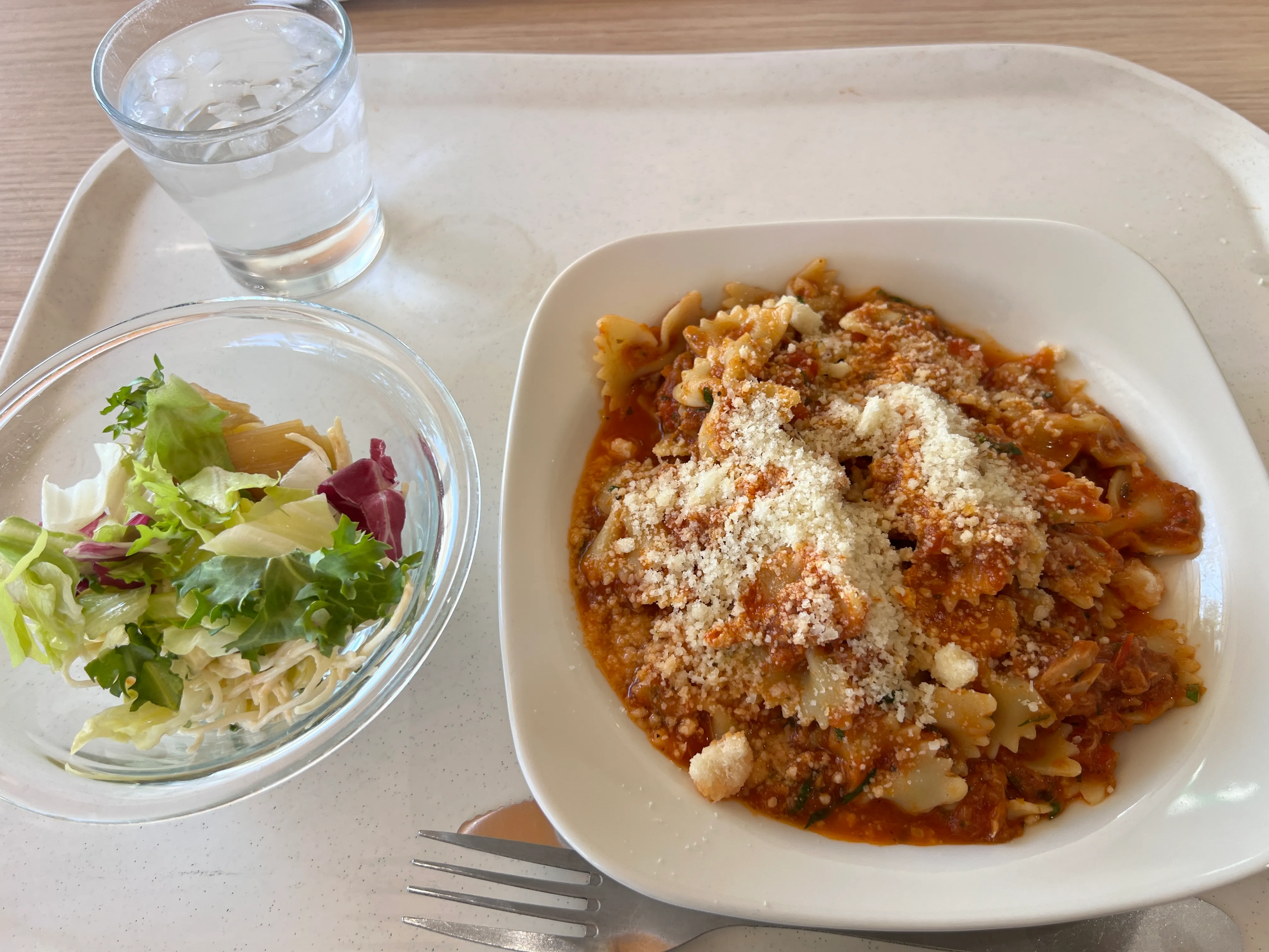 CERNレストランでの食事その2（量り売りのサラダ＋トマトのショートパスタ）